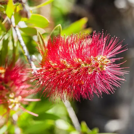 Casa Paradiso Paradisos