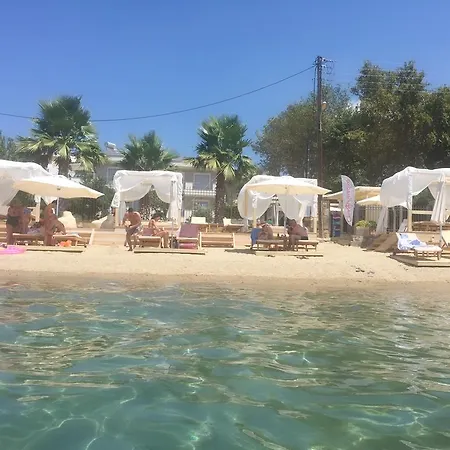 Гостевой дом Casa Paradiso