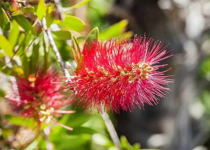 Casa Paradiso Paradisos